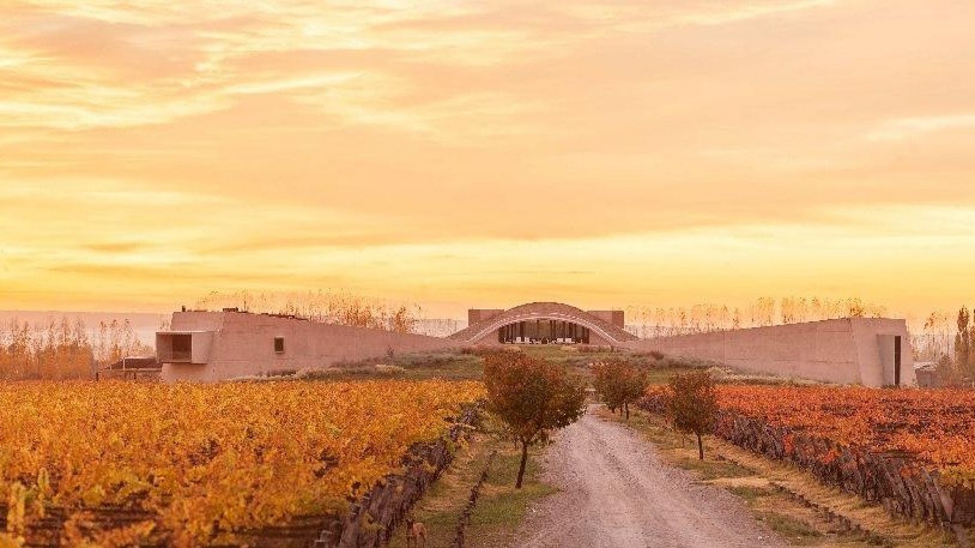 Se viene el 14° Encuentro Internacional de Vitivinicultura Biodinámica